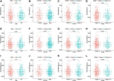 Identification of Novel Tumor Microenvironment-Related Long Noncoding RNAs to Determine the Prognosis and Response to Immunotherapy of Hepatocellular Carcinoma Patients